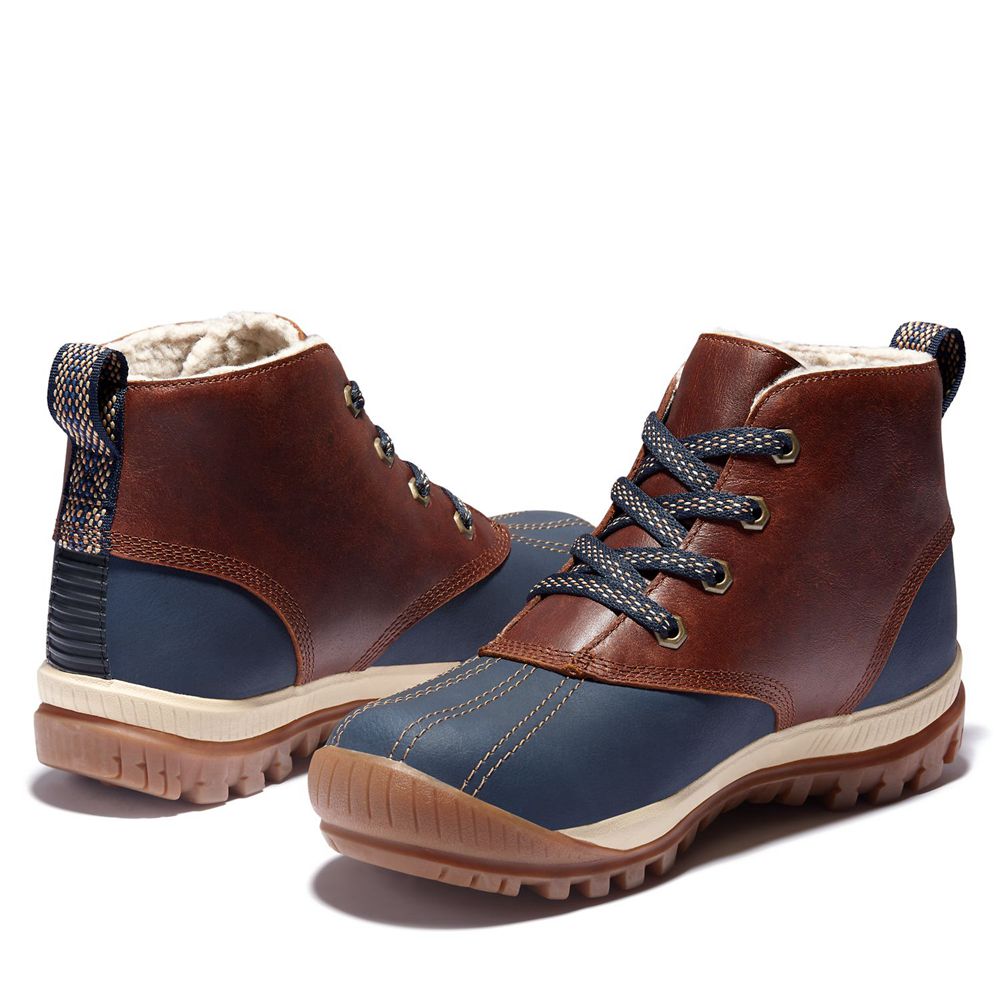 Timberland Womens Chukka Boots Mt. Hayes Waterproof - Brown/Blue - India MO2167459